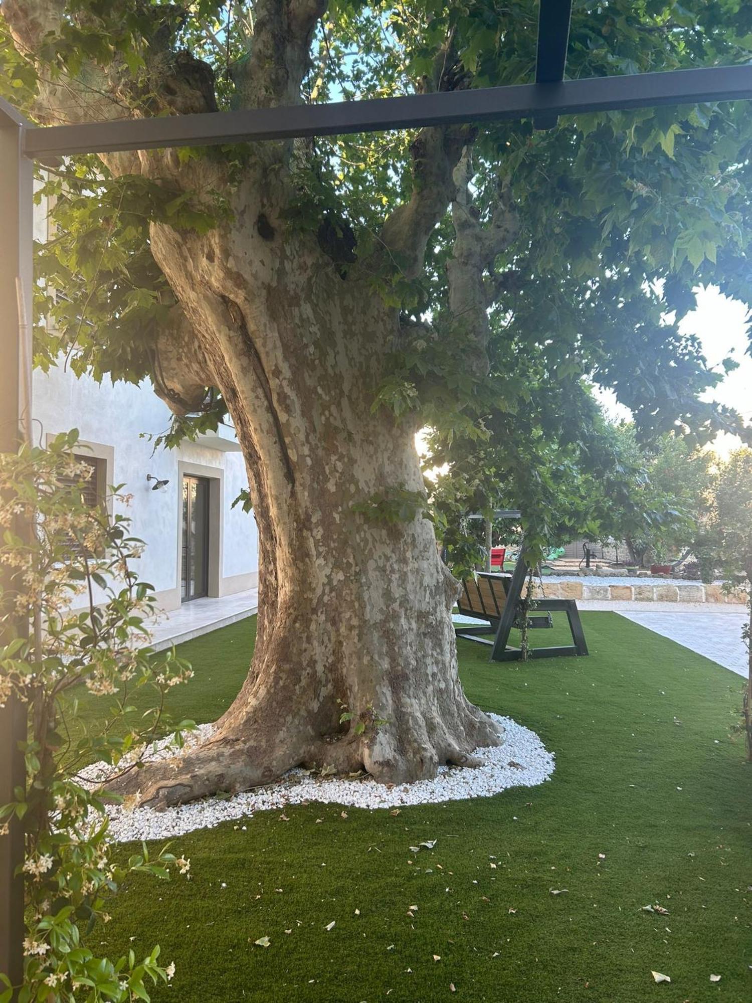 Les Marronniers Bed and Breakfast Lavérune Εξωτερικό φωτογραφία