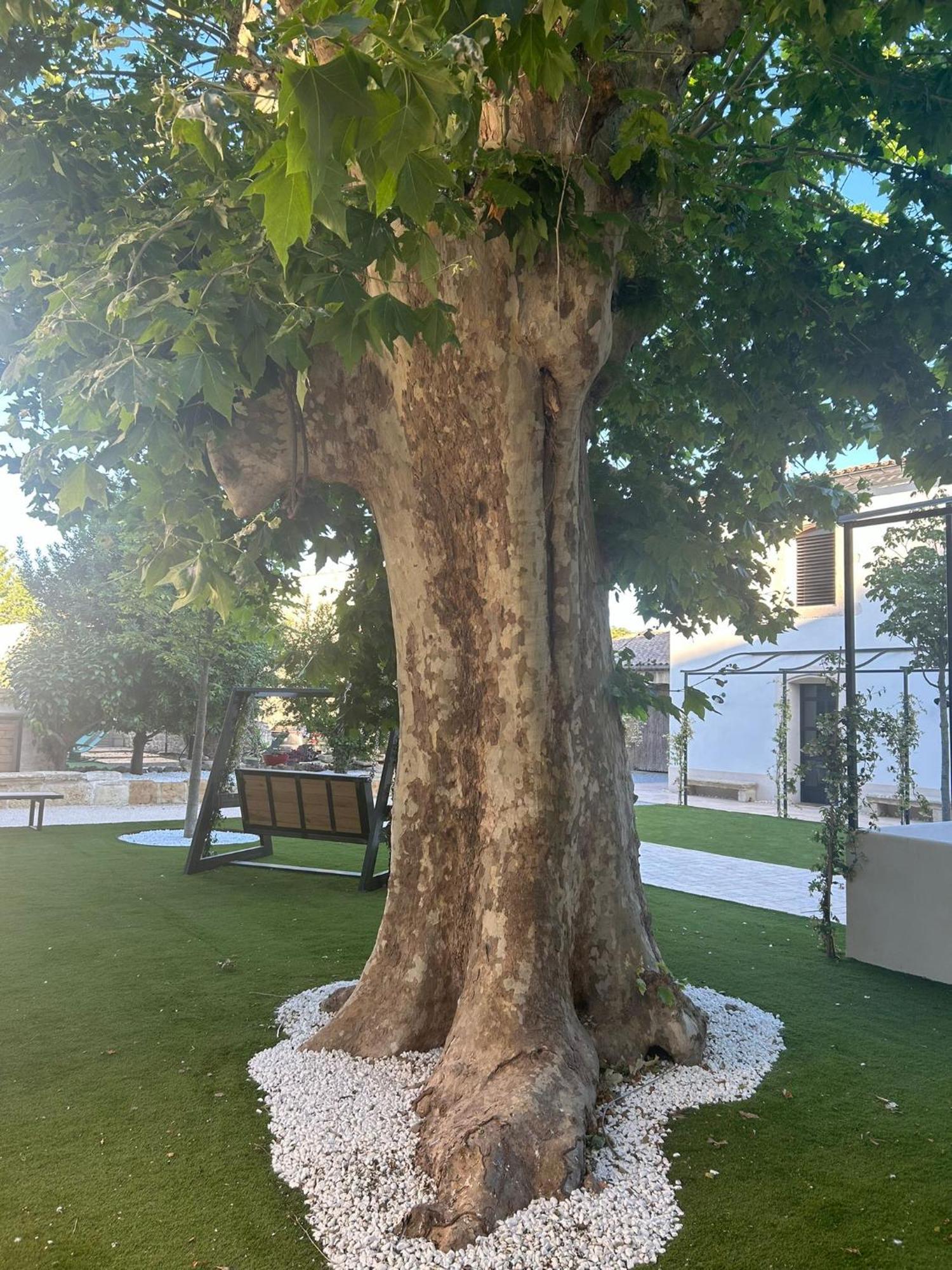 Les Marronniers Bed and Breakfast Lavérune Εξωτερικό φωτογραφία