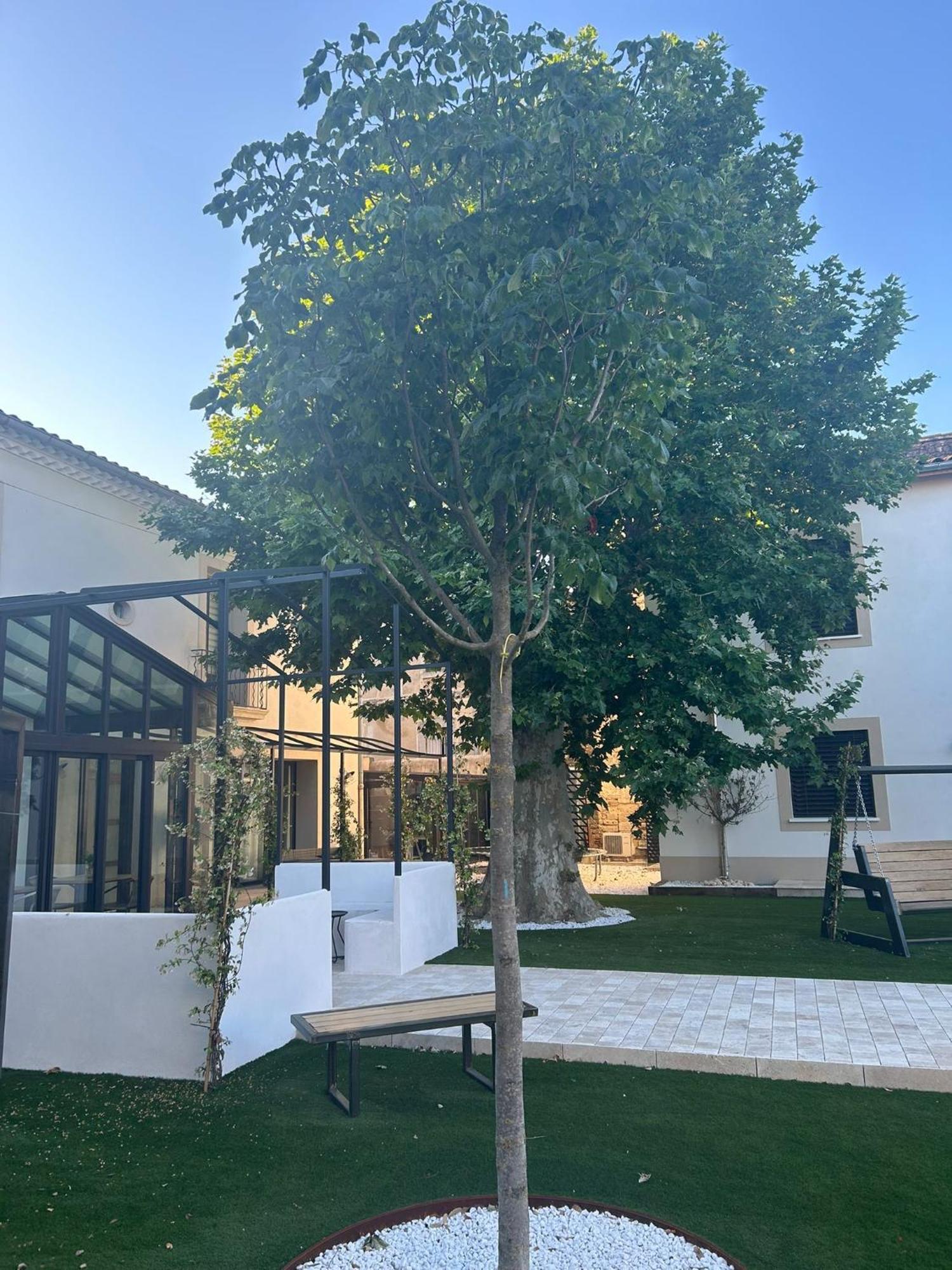 Les Marronniers Bed and Breakfast Lavérune Εξωτερικό φωτογραφία